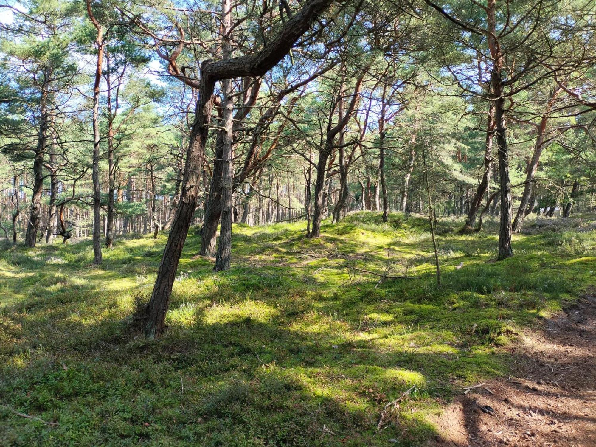 Good Place Nad Jeziorem Bialym Chalet